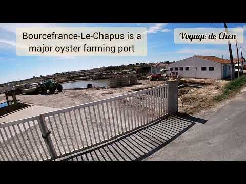 Fort Louvois | Bourcefrance-Le-Chapus