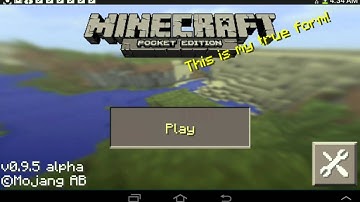 How to get a skin in mcpe no Blocklauncher pro