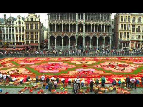 Video: Brüssels Mexikanischer Blumenteppich Besteht Aus 500.000 Blüten