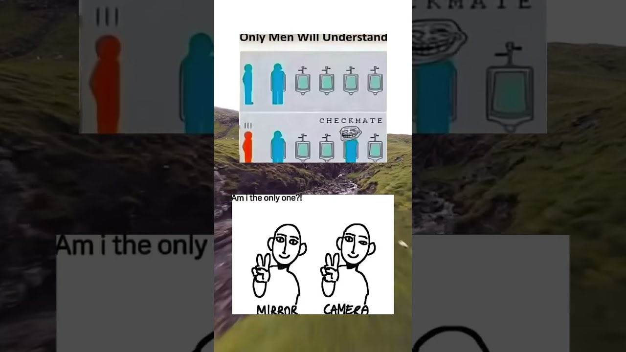 6p Funnyimages Memes Zyxabc Memesdaily