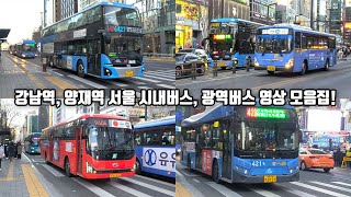 강남역 양재역 서울 시내버스, 광역버스 영상 모음집! (2022년 1월)