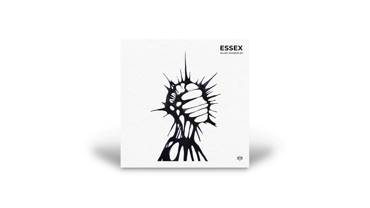 Watch Essex, Fernn - Swarm on YouTube Watch Essex, Fernn - Swarm on YouTube