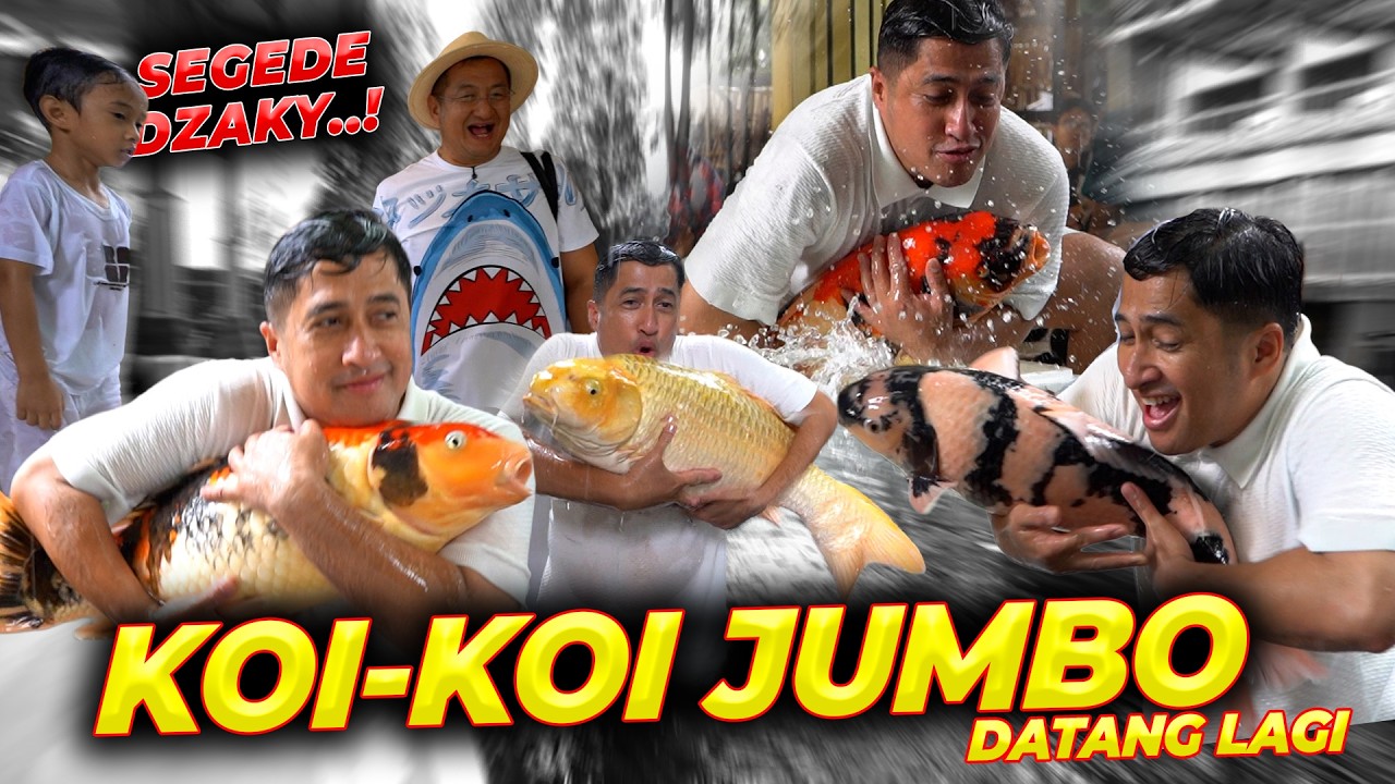 MAKIN DEG-DEGAN..!! DIKIRIM 4 KOI JUMBO LAGI DARI PAK HARTONO..!!