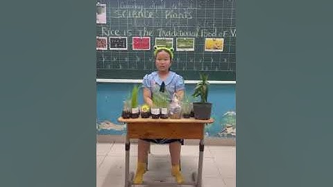 18/4/2023 - Trường Tiểu học Giồng Ông Tố, Tp Thủ Đức