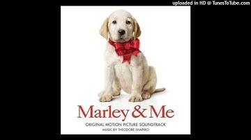 Marley & Me - It All Runs Together - Theodore Shapiro