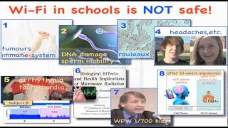 Download lagu Dr Magda Havas WiFi in Schools is Safe True or False Dr Magda Havas WiFi in Schools is Safe True or False