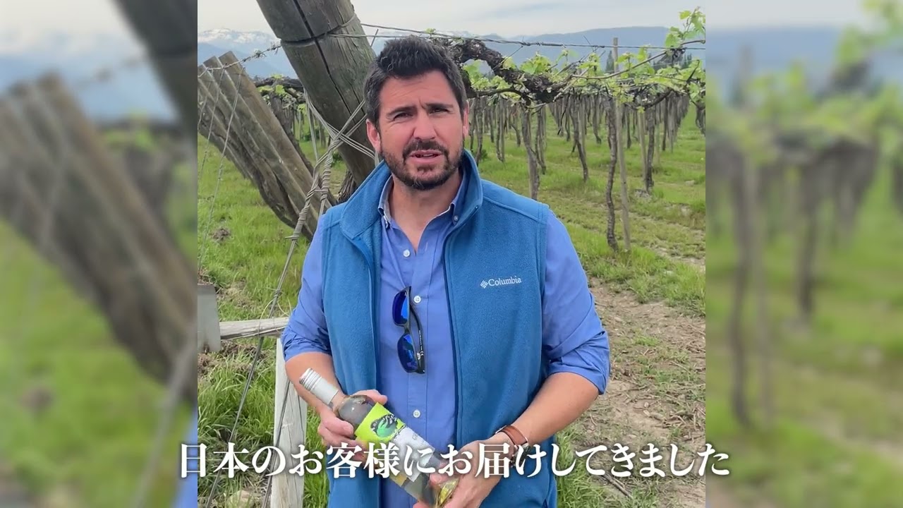 ベルクこだわりの直輸入ワイン | ベルク : Belc-地域密着型