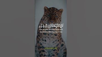 سأل سائل بعذاب واقع للكافرين ليس له من دافع // ما تيسر من #سورة_المعارج -الآية 1 🎧🎧