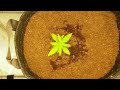 Cannabis basics intro to growing cannabis indoors