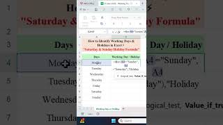How to Identify Working Days & Holidays in Excel ⚡"Saturday & Sunday Holiday Formula"