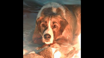 Thumbnail of “A reliable Leader“ - [ Камин - EMIN & JONY (Slowed Reverb)]