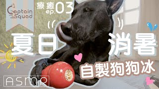 【 Therapeutic ASMR 🐶👅🔈 Dog Licking Frozen KONG Toy Stuffed With Chicken Yogurt 】 Captain Dog Videos