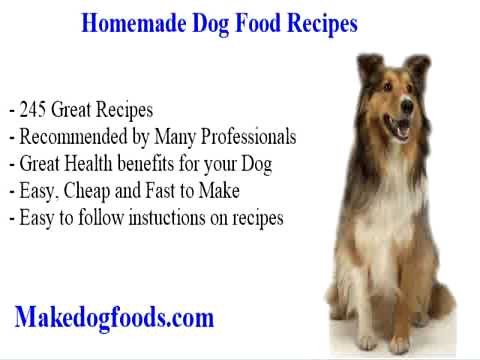 pet food online nz Get the best home made dog food recipes for your best friend. See more at Link in Video best canned dog food ingredients blue seal dog food dealers rawhide dog bones wholesale canned dog food comparison best dog food for shih tzu puppy dog food comparison consumer...