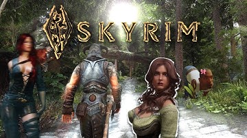 Average Skyrim Modding Experience be Like