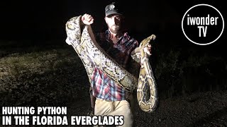 The Burmese Python Problem In The Florida Everglades