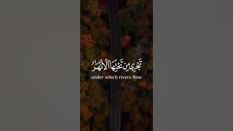 القارئ احمد خضر 🎧⏱️||قرآن كريم🥺🥰||راحه نفسيه🌿💙|| حالات واتس اب دينيه😍💜|| هدوء🌴🕊||ارح سمعك و قلبك 🌱🌸