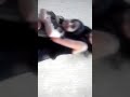واي كيوت الجازي خالد اغنيه ياليلي واي كيوت الجازي خالد اغنيه ياليلي