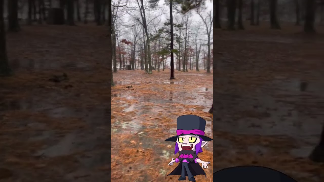 It was a very stormy day for Mortis.....
