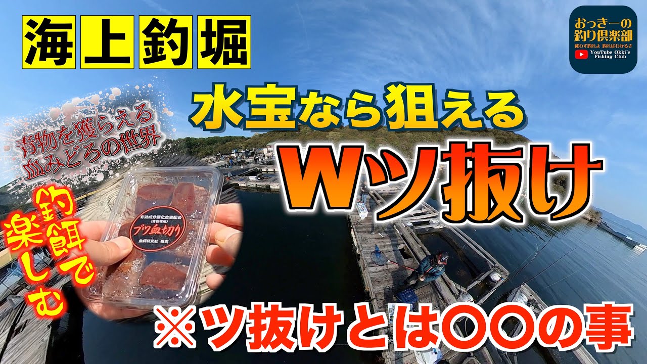 海上釣堀 これ一択でのモーニング 釣堀紀州 11月モーニング後編 4k Youtube