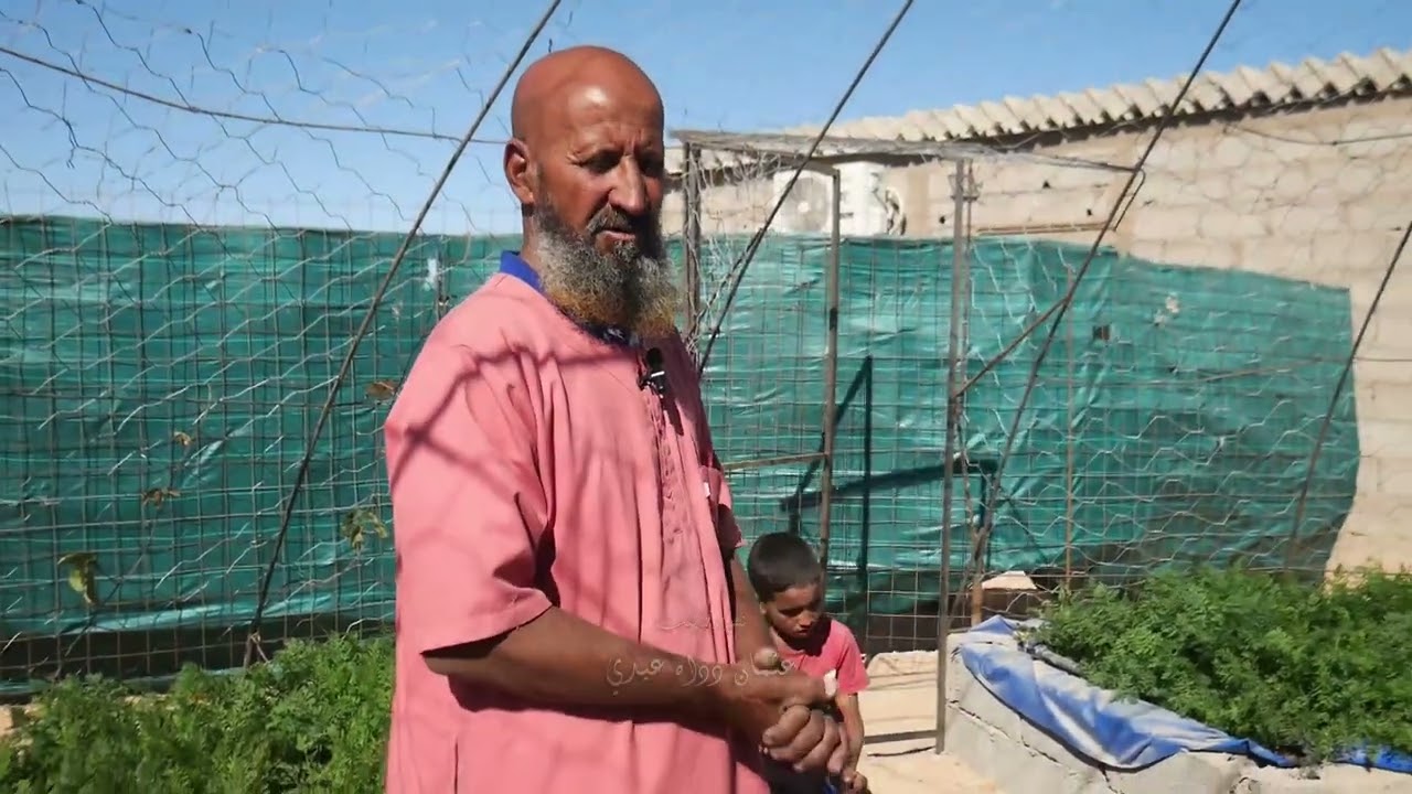 مشروع مزرعة نموذجية لزراعة الخضر وتربية الأسماك في اطار المشاريع المومولة تكملة تص