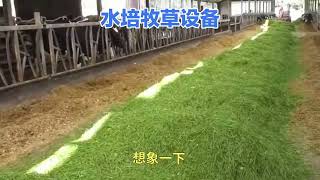 Automated Hydroponic Fodder System | Year-Round Fresh Feed for Cattle & Sheep