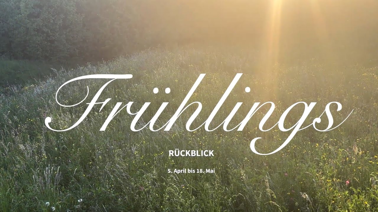 Leben geniessen | April-Mai-Vlog