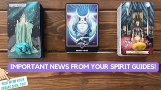 Important News from Your Spirit Guides! 📞 😇 🎉 | Timeless Reading by White Feather Tarot 67,058 views 1 month ago 1 hour, 18 minutes