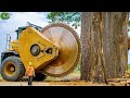 Extreme Dangerous Fastest Big Chainsaw Cutting Tree Machines | Monster Stump Removal Excavator #56