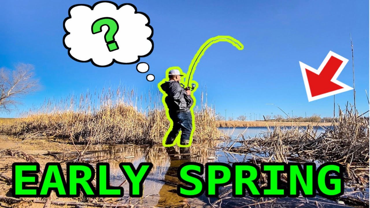 Fishing for BASS after good RAINFALL (early spring ) YouTube