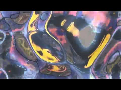 Santana - The Healer (with John Lee Hooker)