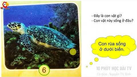 Lớp 2 - Tự nhiên và xã hội lớp 2 bài 17  Động vật sống ở đâu  T2