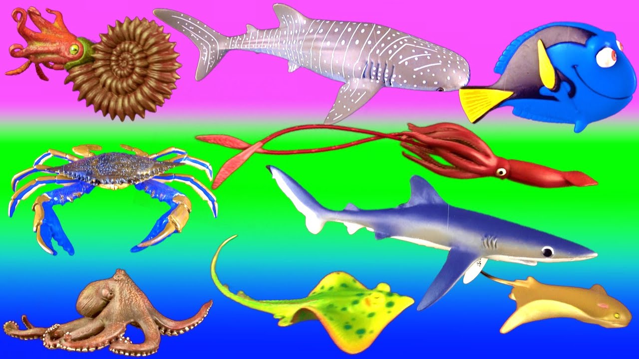 Shark Toys Collection Whales Fish Giant Squid Nemo Dory Kids Surprise