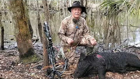 Swamp Hog Death Charge