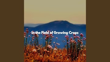 Entertaining Backdrops for Limitless Boosts