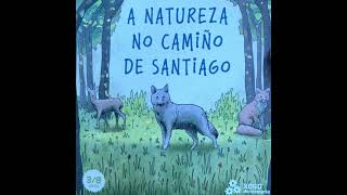 A natureza no Camiño de Santiago - Aira editorial