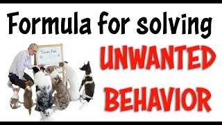 FORMULA for solving UNWANTED BEHAVIOR - Dog and Puppy Training