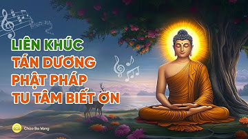 Liên khúc hát tán dương Phật, Pháp, Tăng và tu tâm biết ơn | Nhạc Phật giáo | Chùa Ba Vàng