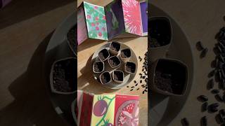 DIY - Créer des pots à semis biodégradables avec des rouleaux de papier toilette ♻️