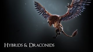 Rax&#39;s Bestiary: Hybrids and Draconids(Witcher 3 how to kill monsters)