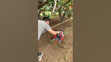 Mini Tiller Machine in Action | Powerful Farming Tool for Easy Soil Preparation part 721