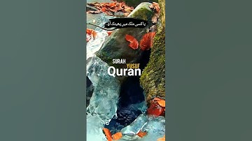 Surah Yusuf Urdu Translation |سورة يوسف Urdu Hindi Translation #islamicvideoofficials