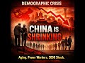 China’s Demographic Collapse: The 2050 Economic Reckoning
