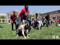 Unl nse international student orientation