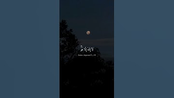 {لقد جاءكم رسول من أنفسكم عزيز عليه ما عنتم} تلاوة من #سورة_التوبة - القارئ: #ماهر_المعيقلي | #قرآن