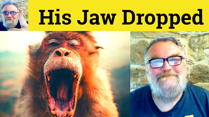 🔵 My Jaw Dropped Meaning - His Jaw Dropped Definition - My Jaw Dropped Defined - One's Jaw Drops
