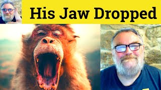🔵 My Jaw Dropped Meaning - His Jaw Dropped Definition - My Jaw Dropped Defined - One's Jaw Drops Profile
