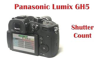 Panasonic Lumix GH5 / G9 hidden menu for shutter count - Don
