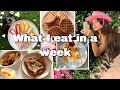 everything i eat in a week