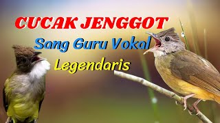 MASTERAN CUCAK JENGGOT SANG GURU VOKAL LEGENDARIS