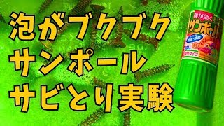 【危険！マネしないこと】これはすごい効果だ！サンポールでサビ取りを試してみた　ベースアンプのパーツ洗浄